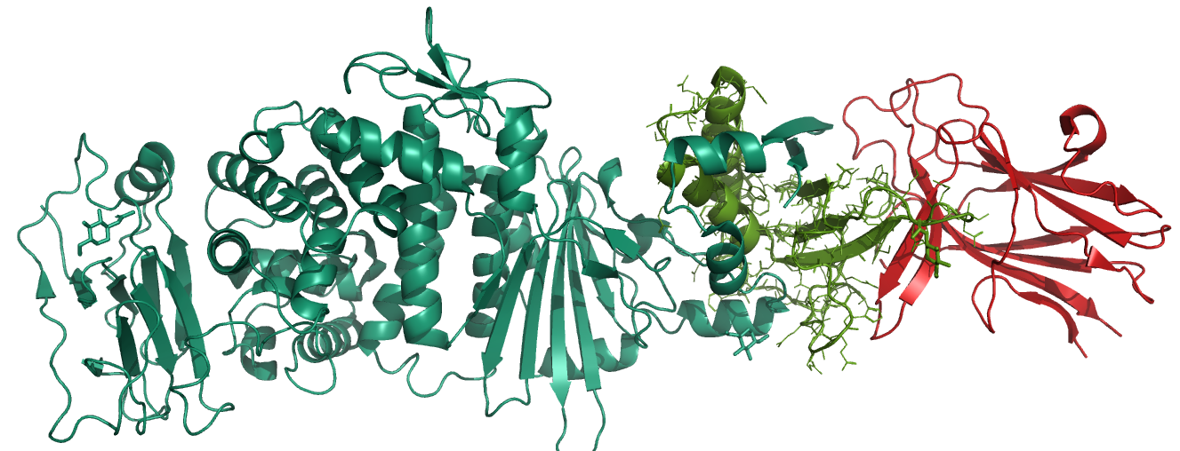 color hexacesimal