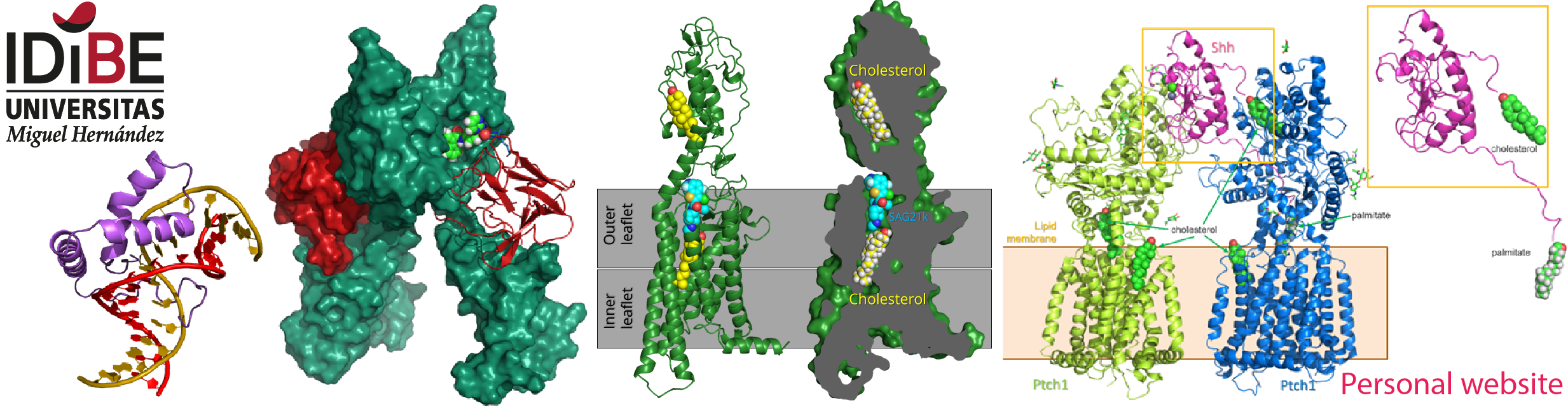 diseno_frontal_8_890x230